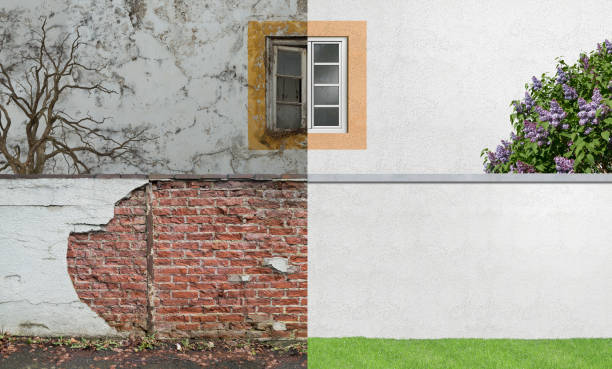 Best Airborne Mold Testing  in Woodbury Heights, NJ